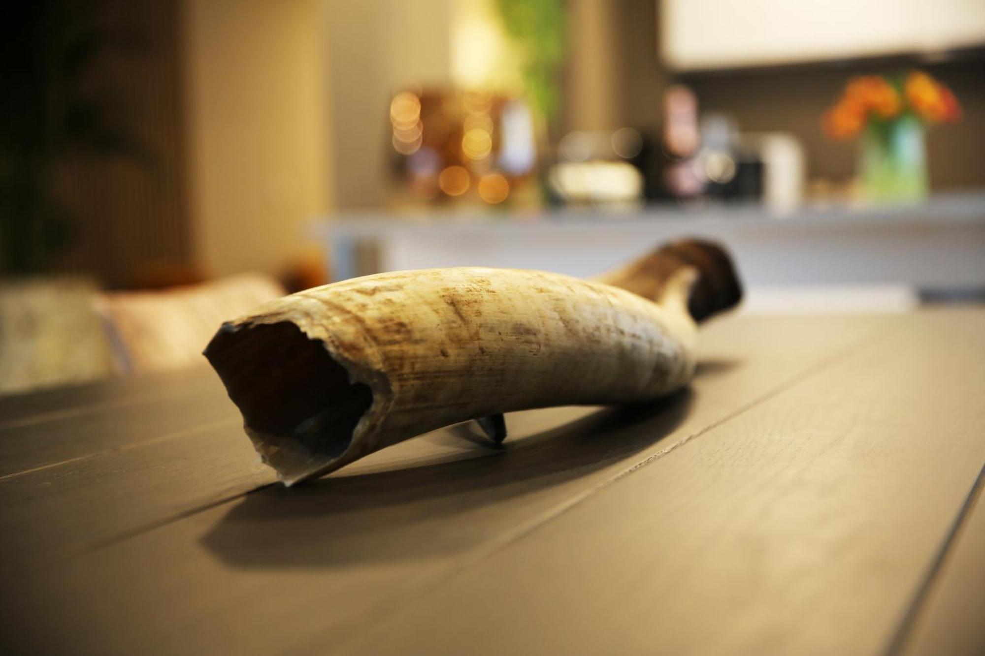 L'Appart Baobab, Avec Sauna Liège Zewnętrze zdjęcie